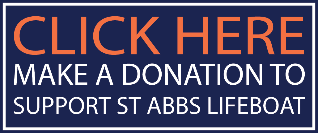 St Abbs Lifeboat Just Giving Donation Link